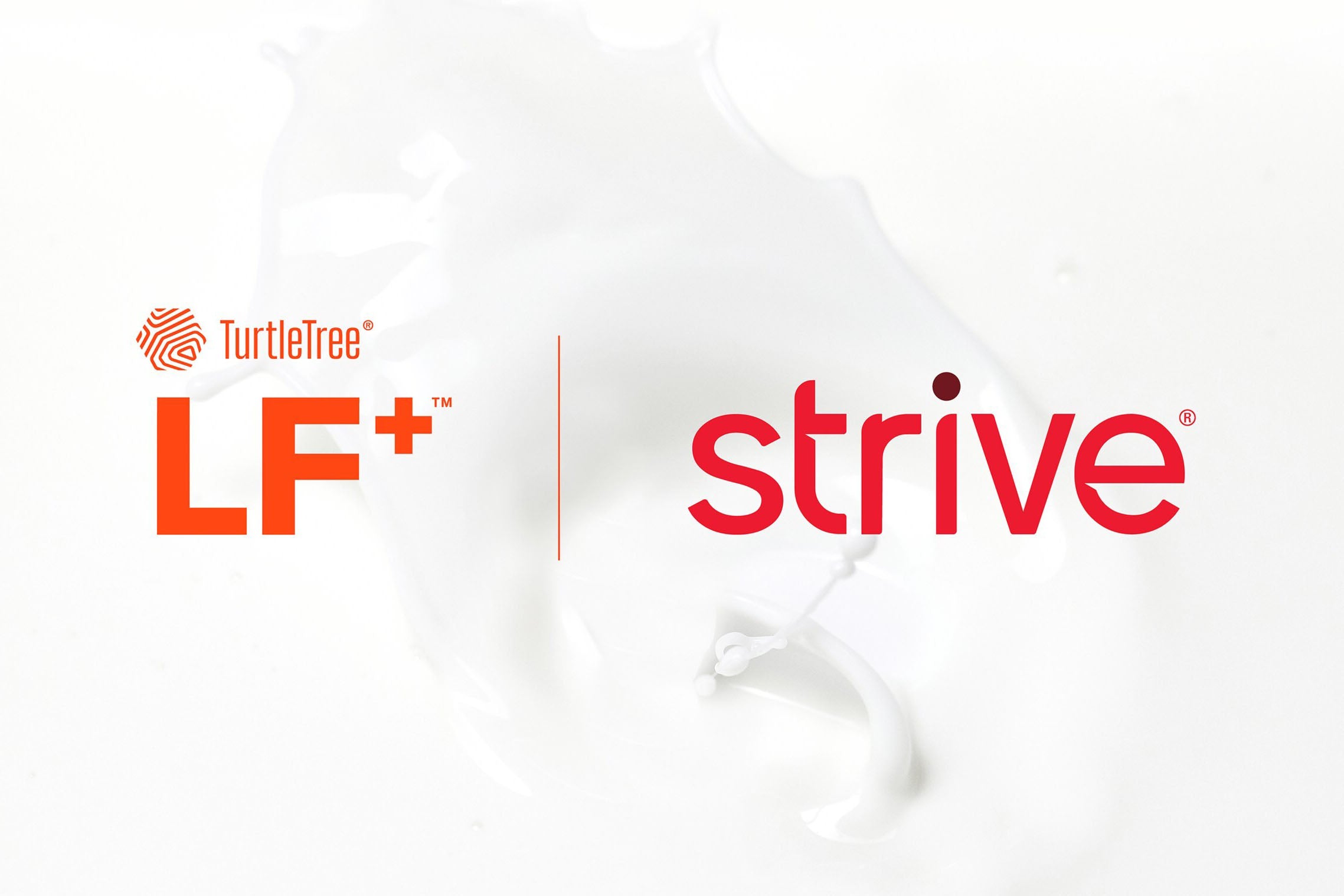 Strive Announces Strategic Partnership with Turtle Tree